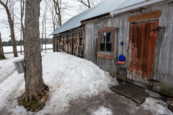 Ottawa Maple Sugar Shacks 2026: Best Sugar Bush Trips Near the City